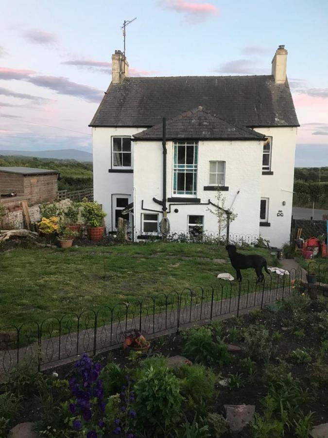 Dale View Bed & Breakfast Holmrook Exterior photo